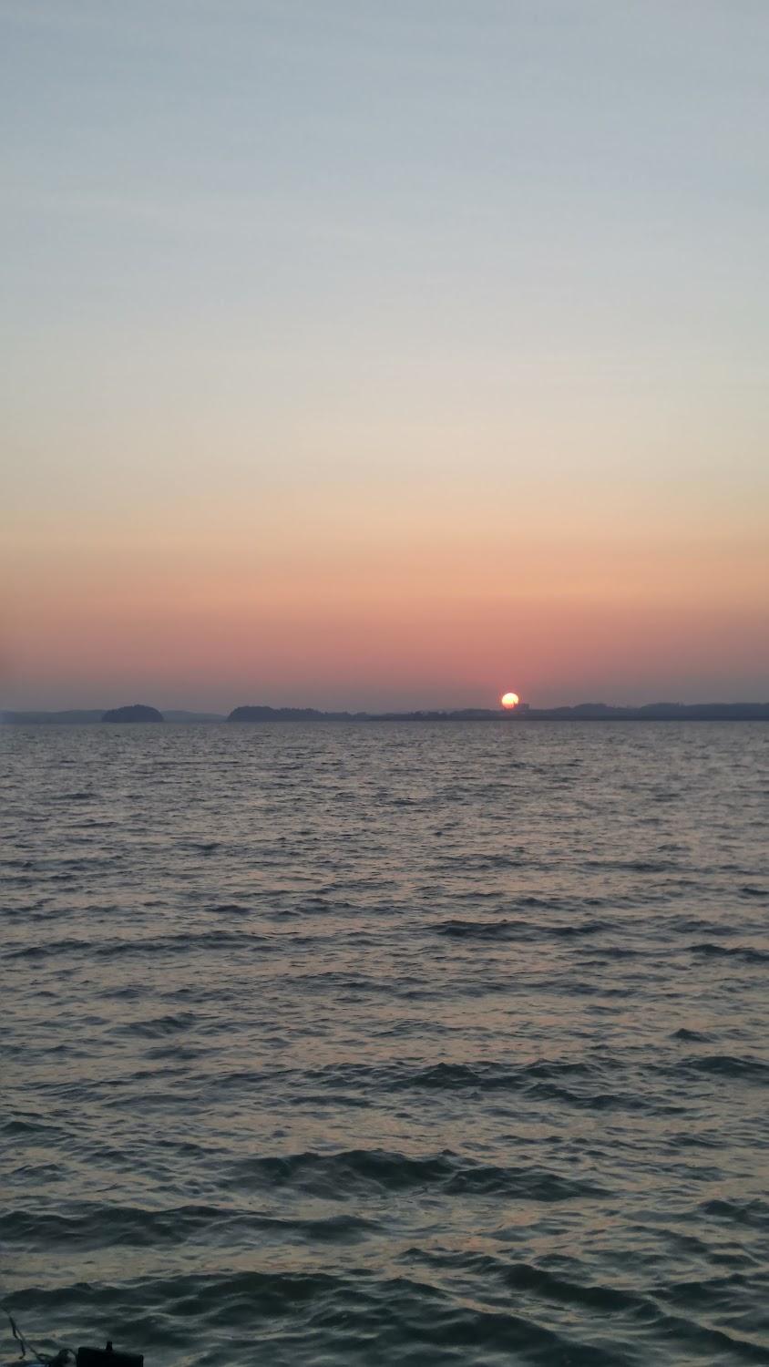 Cover Image for 유니콘모텔