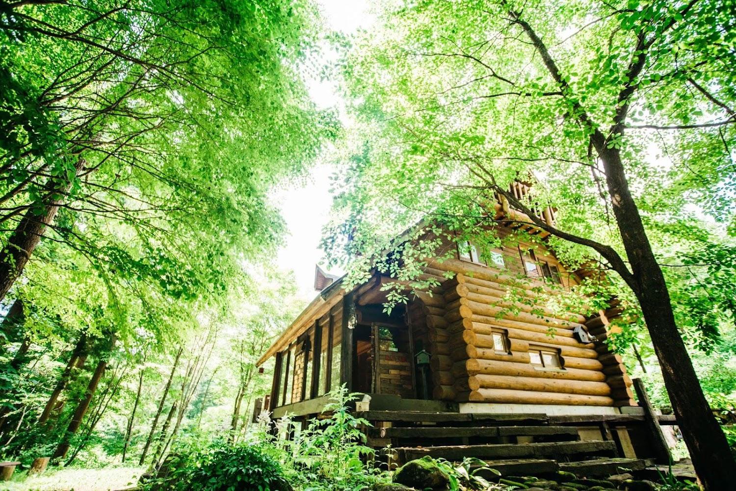 Cover Image for Sunnsnow Log House