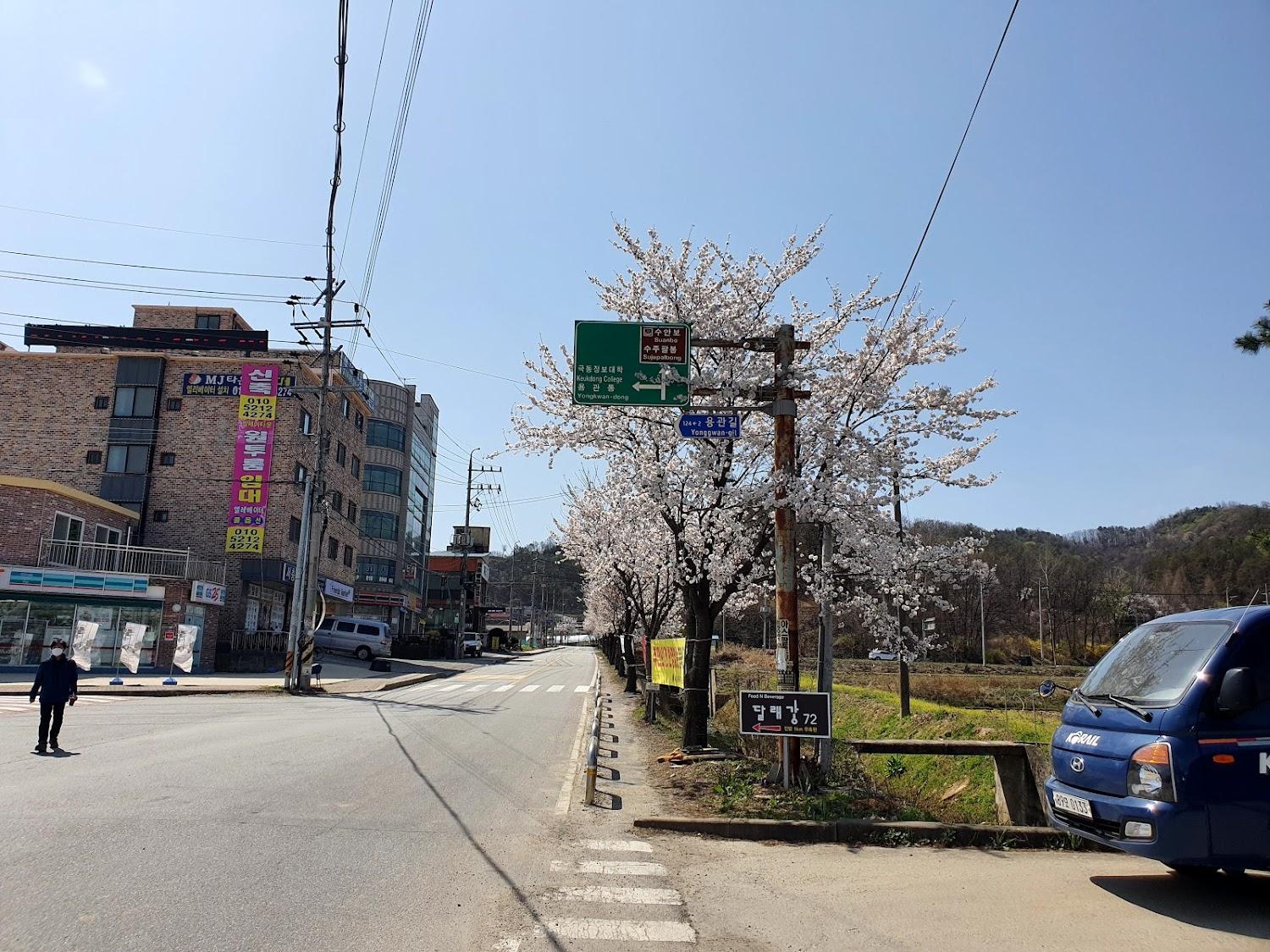 Cover Image for 로망스모텔