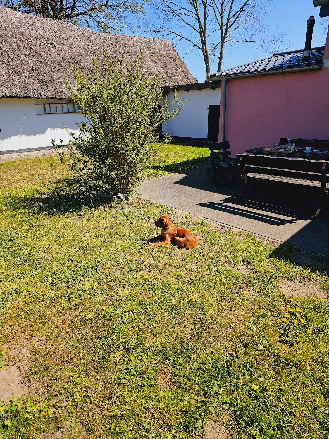 Cover Image for Landurlaub bei Westendorff's in Warthe / Insel Usedom