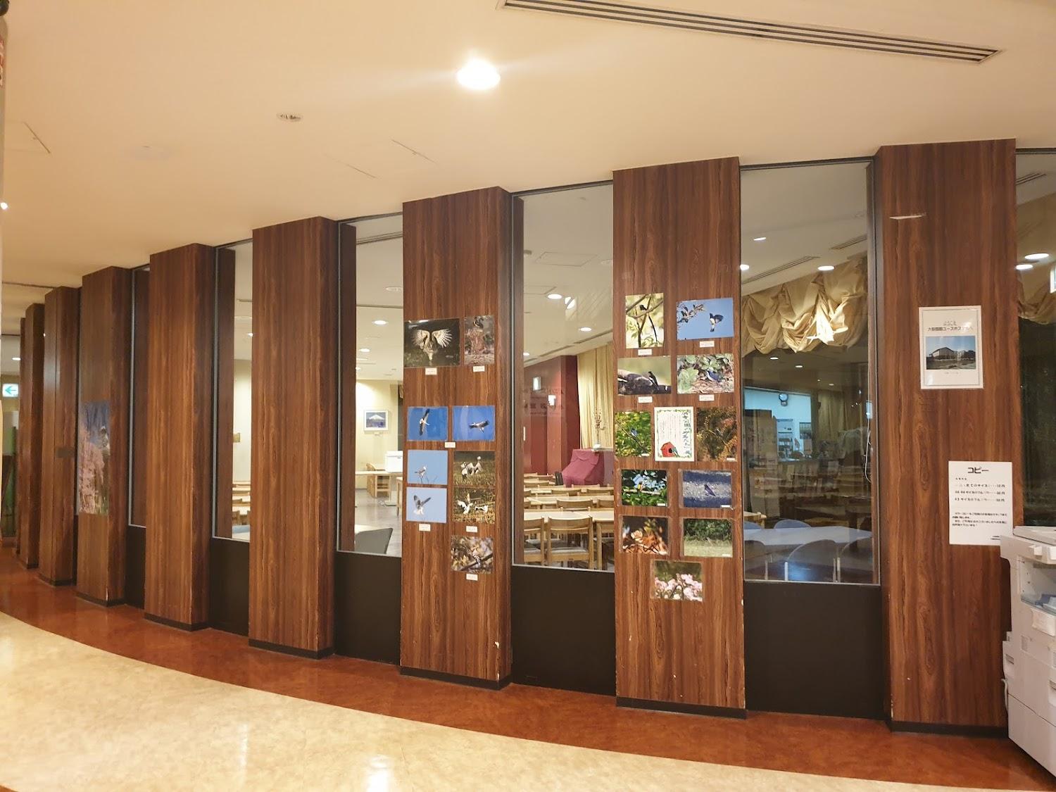 Cover Image for Osaka International Youth Hostel