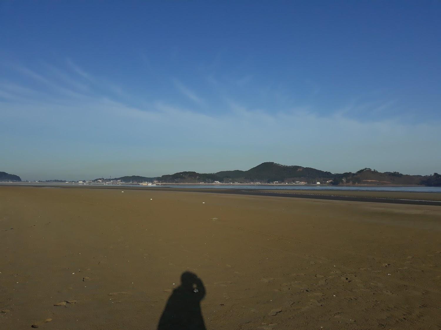 Cover Image for 바다바라기