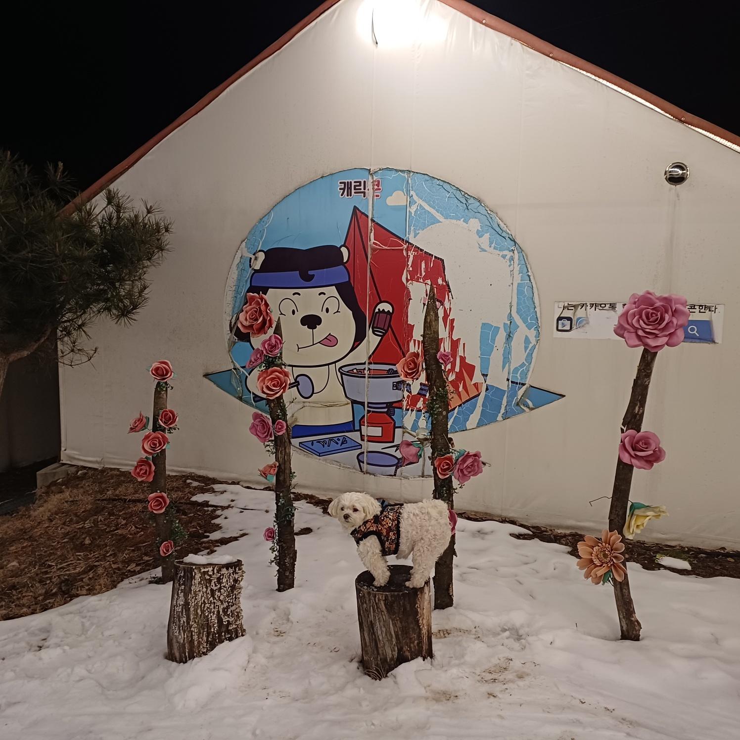Cover Image for Pocheon Kidsglampinggeo