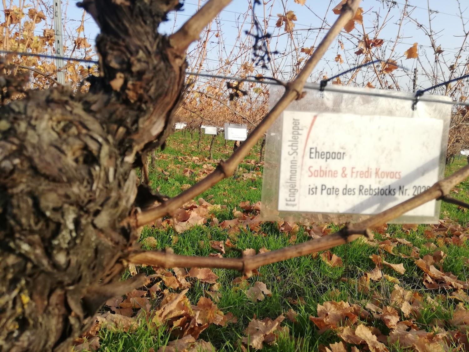 Cover Image for Weingut Engelmann-Schlepper