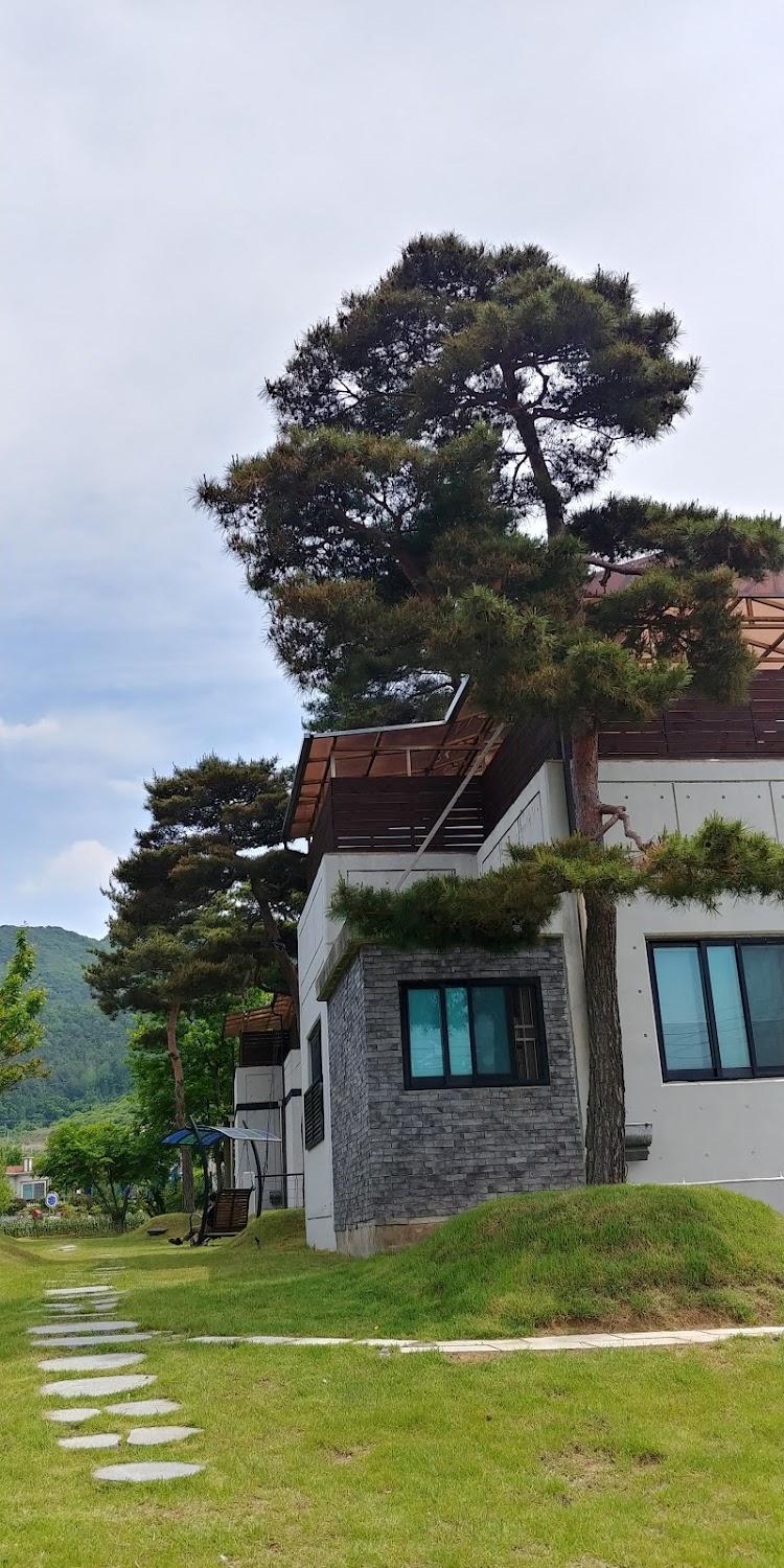 Cover Image for Buan Ylang Ylang Pension