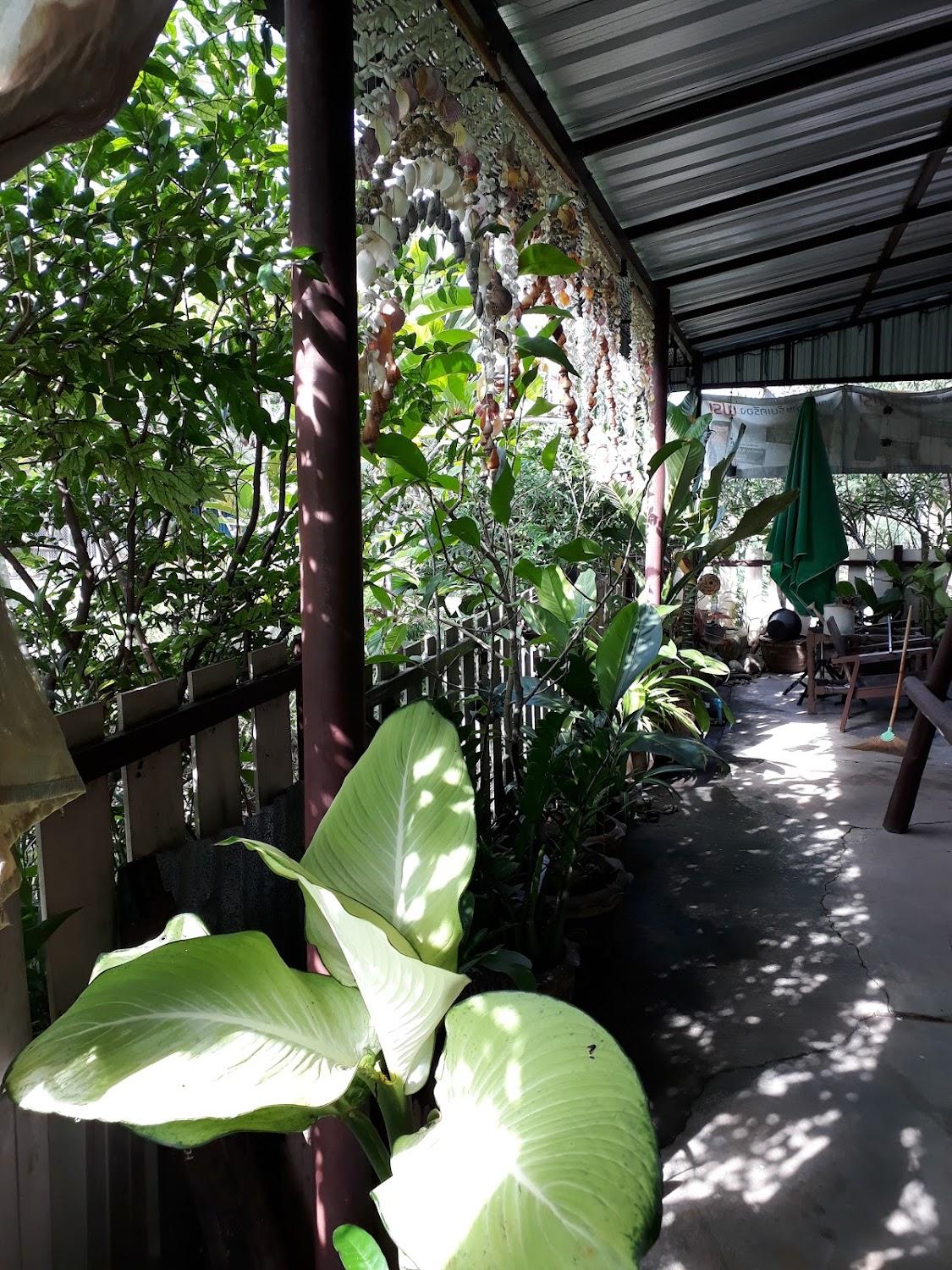 Cover Image for ที่พักรักเลยภูกระดึง