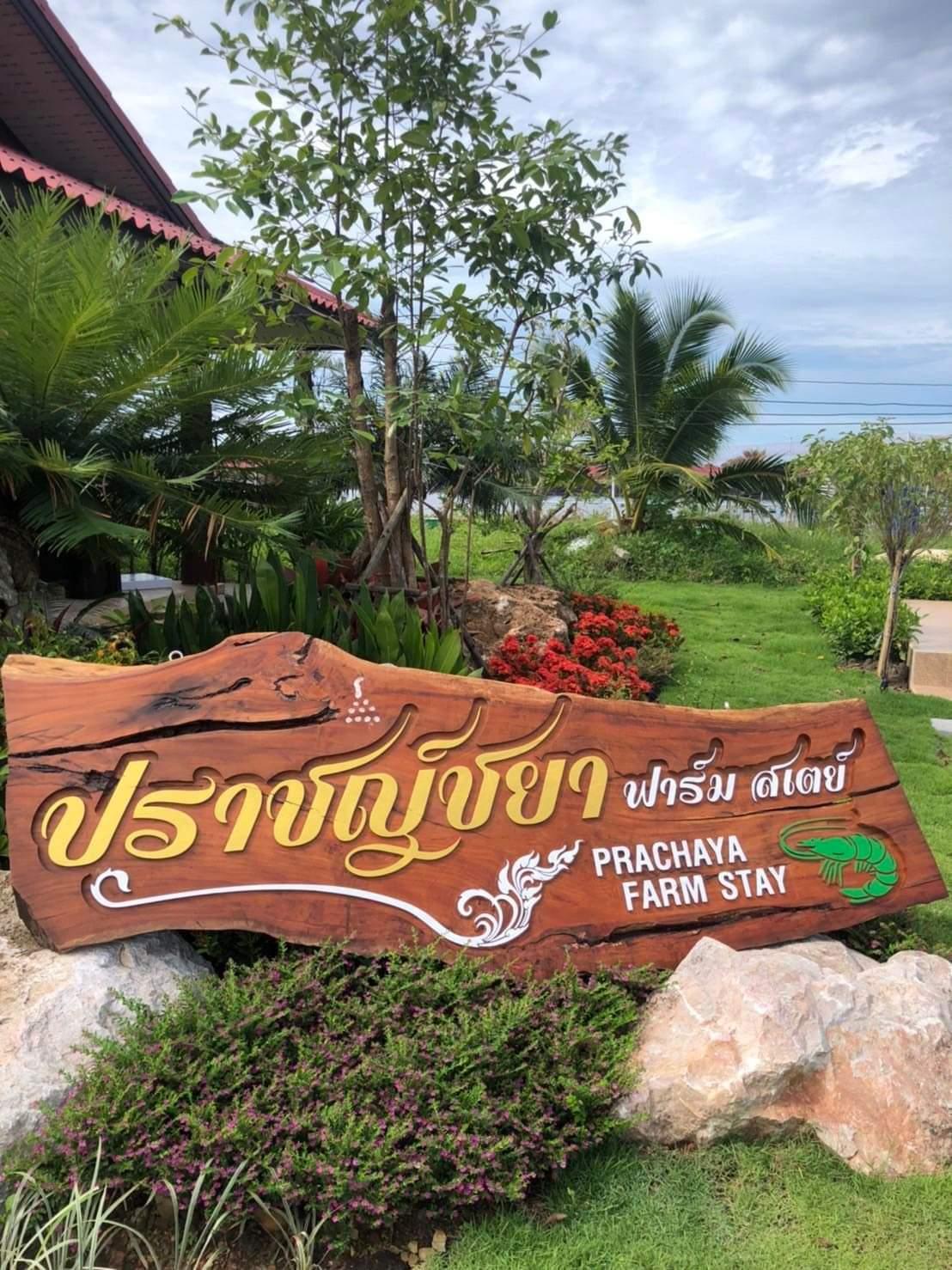 Cover Image for Prachaya Farm Stay