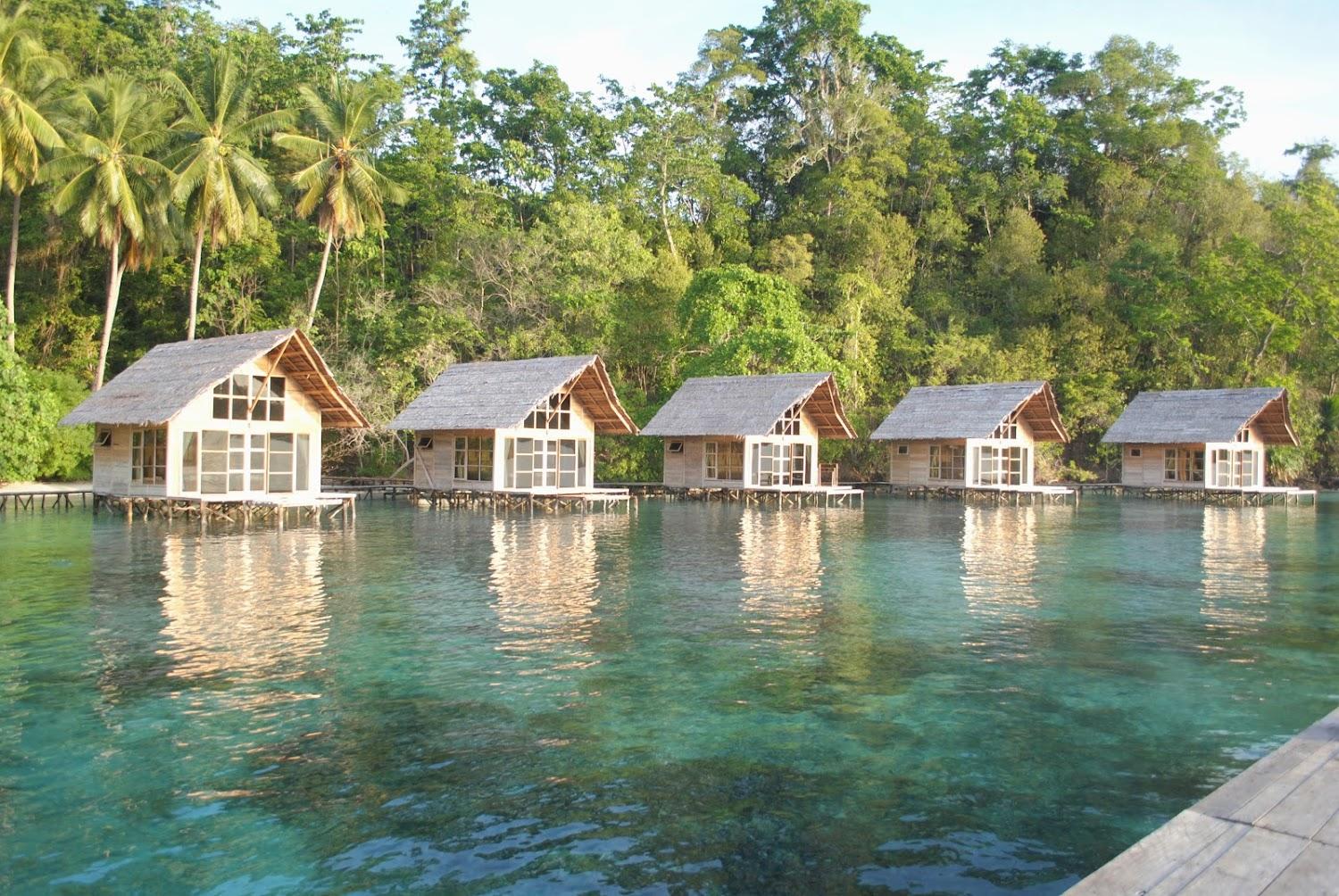 Cover Image for Sareni Raja Ampat