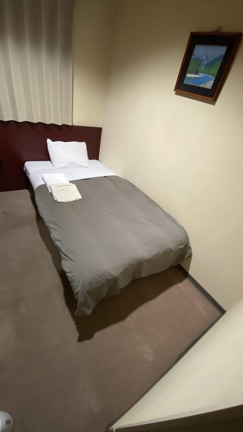 Cover Image for Business Mizunami Plaza Hotel