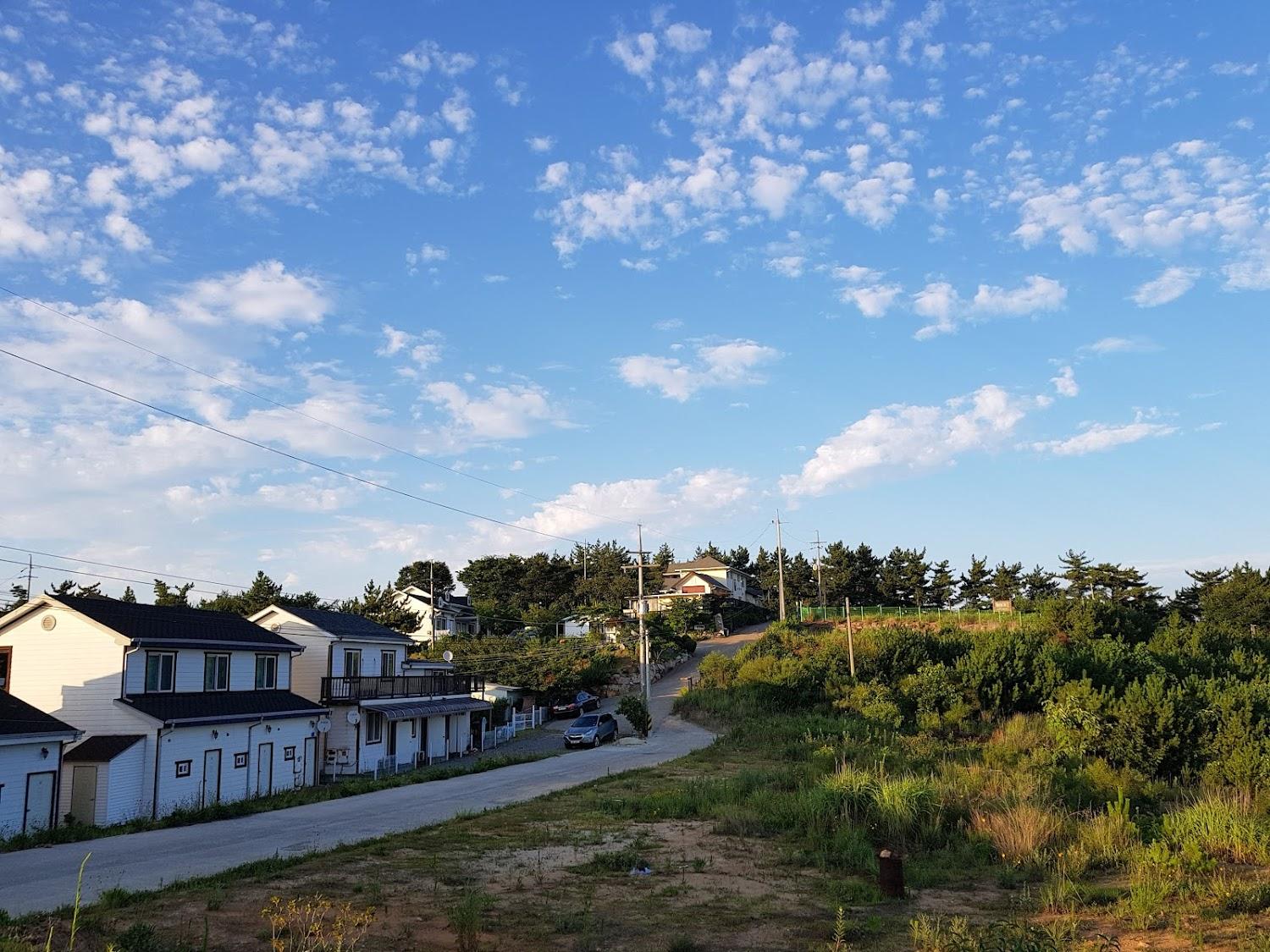 Cover Image for 사랑애펜션