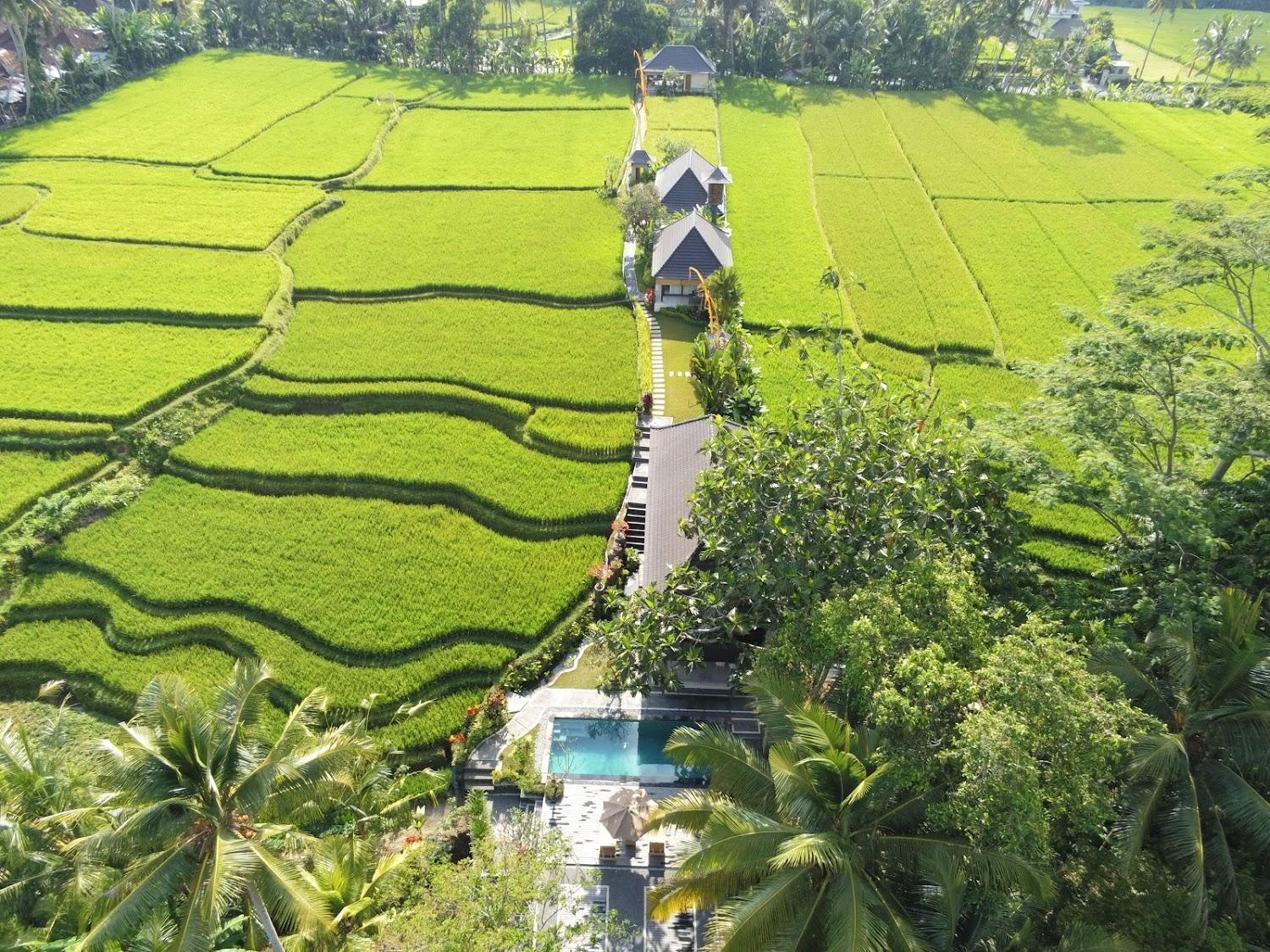 Cover Image for Puri Raya Villa