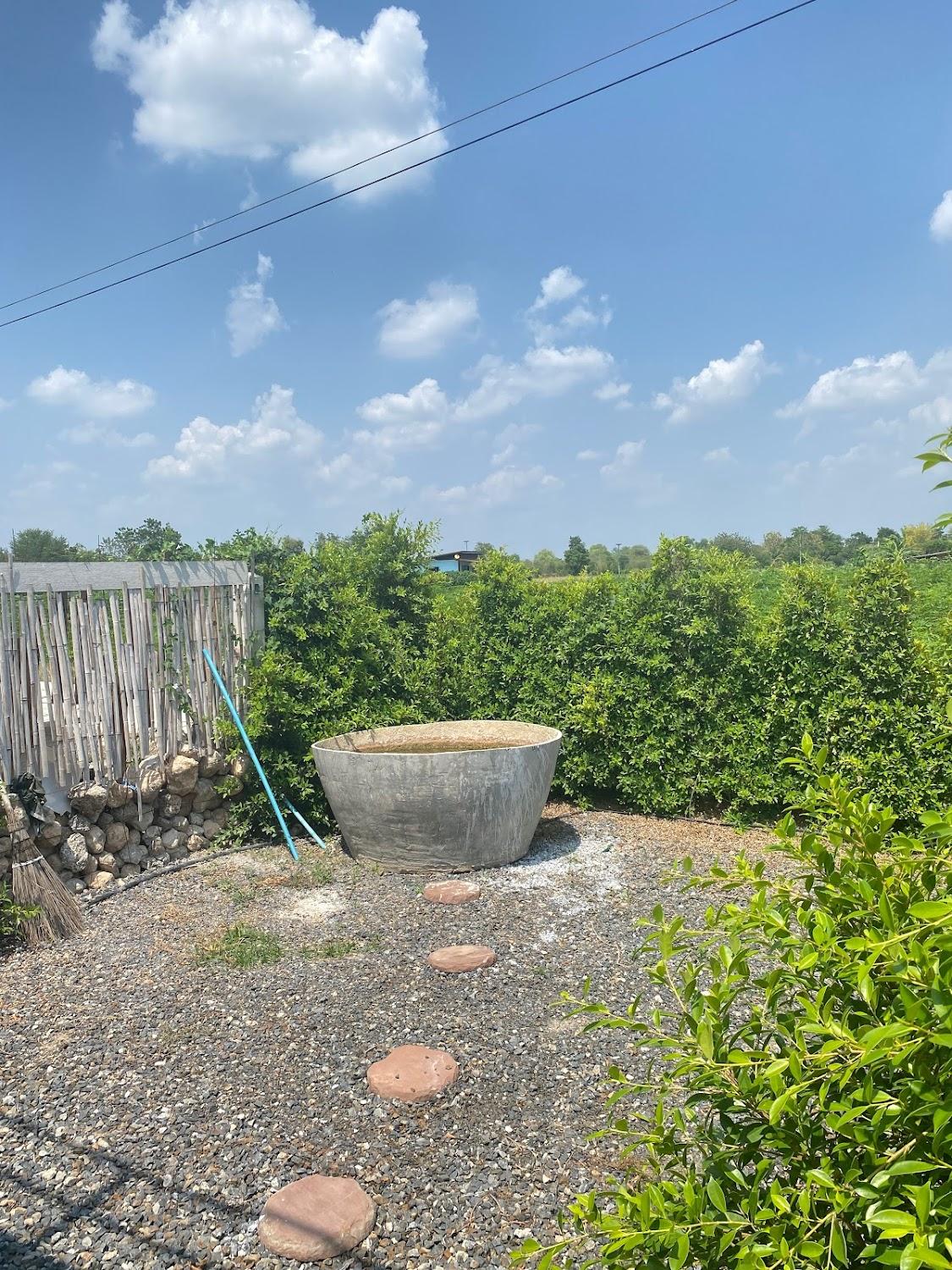 Cover Image for #โรงแรมมั่งกี้ที่พักวิลล่าท่าหลวงลพบุรี- Monkey Farm Villa Homestay Pasak River Lopburi Thailand