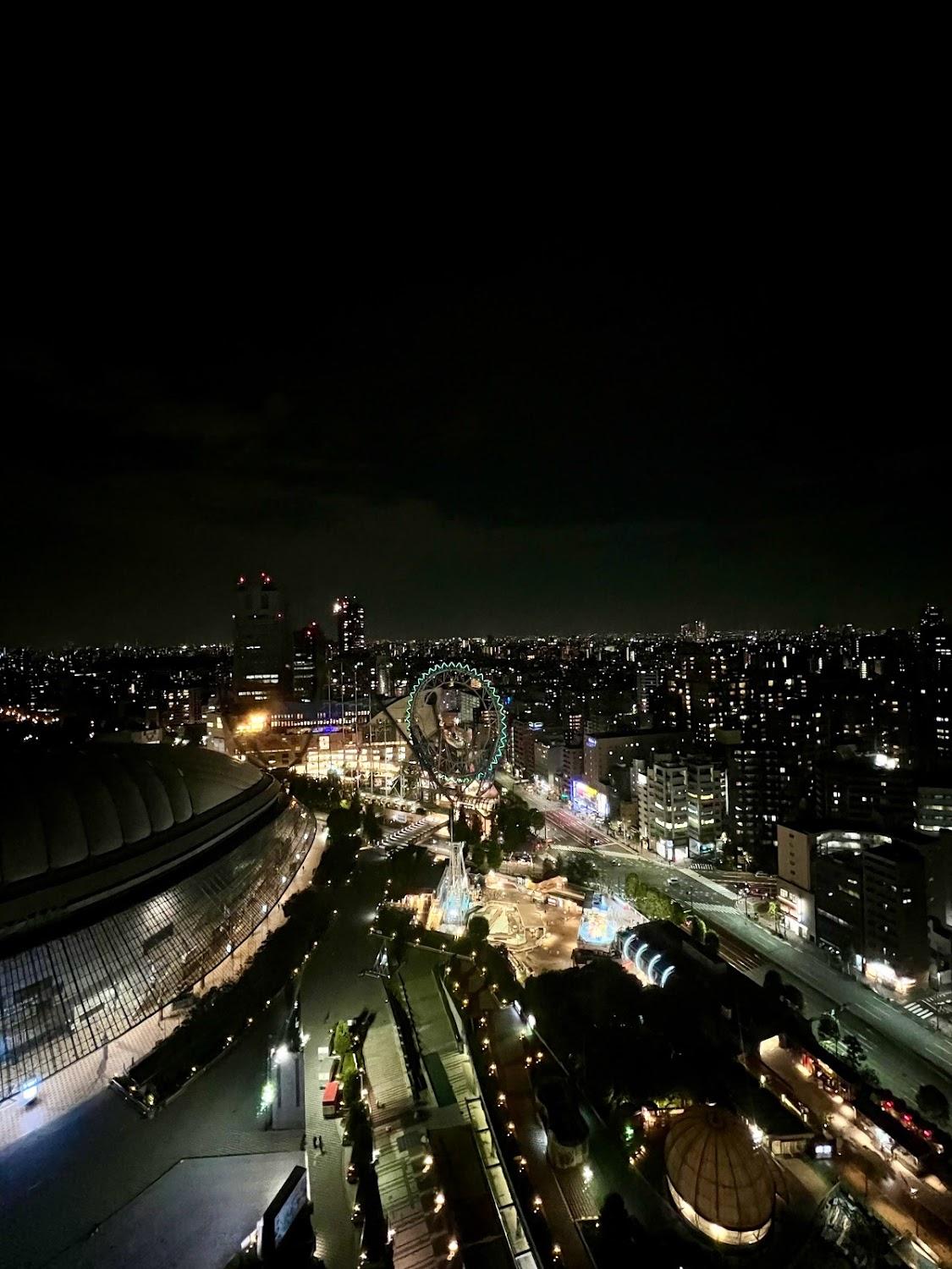 Cover Image for Tokyo Dome Hotel
