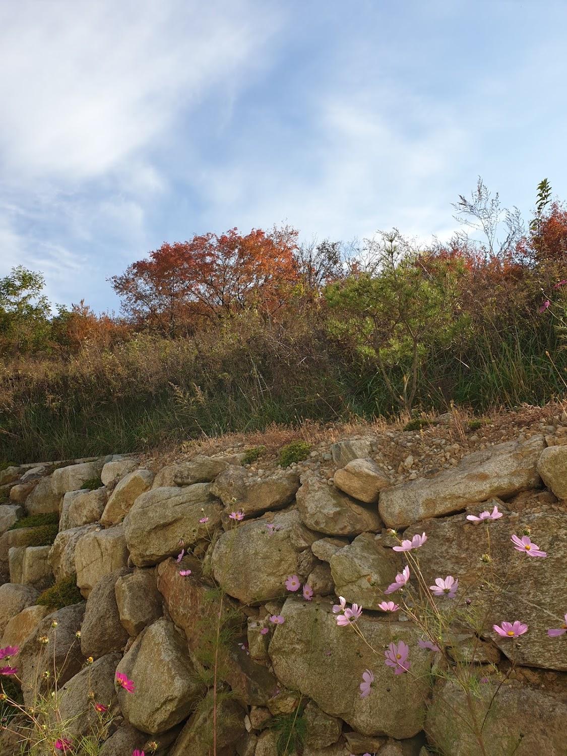 Cover Image for 화천산천어펜션