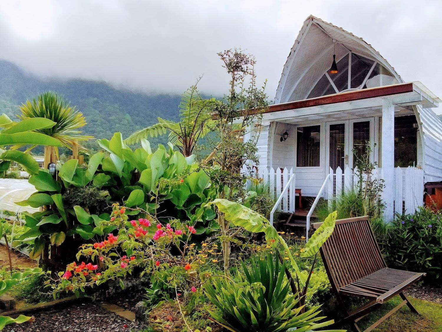 Cover Image for Uma Havana villa