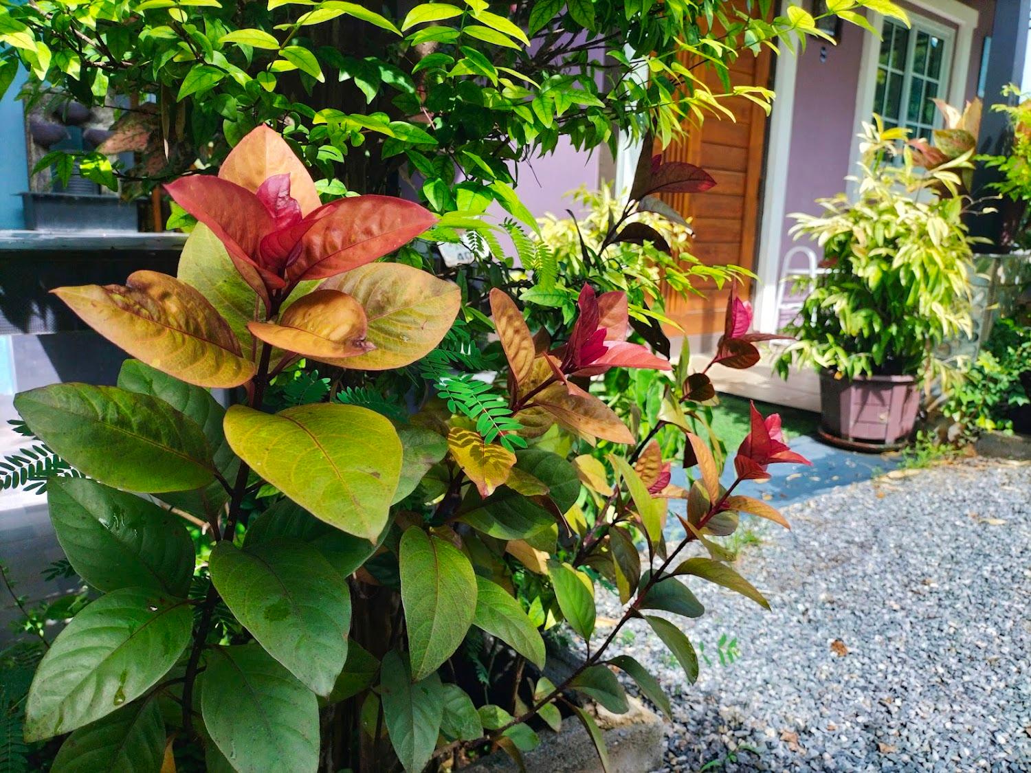 Cover Image for บ้านสอาดพันธุ์ ️ บริการบ้านพักรีสอร์ท
