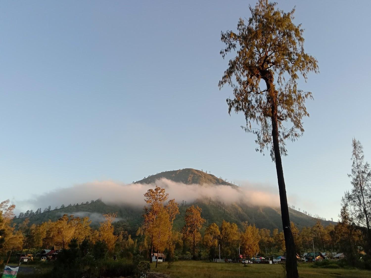 Cover Image for AVRILA HOMESTAY & CAFE