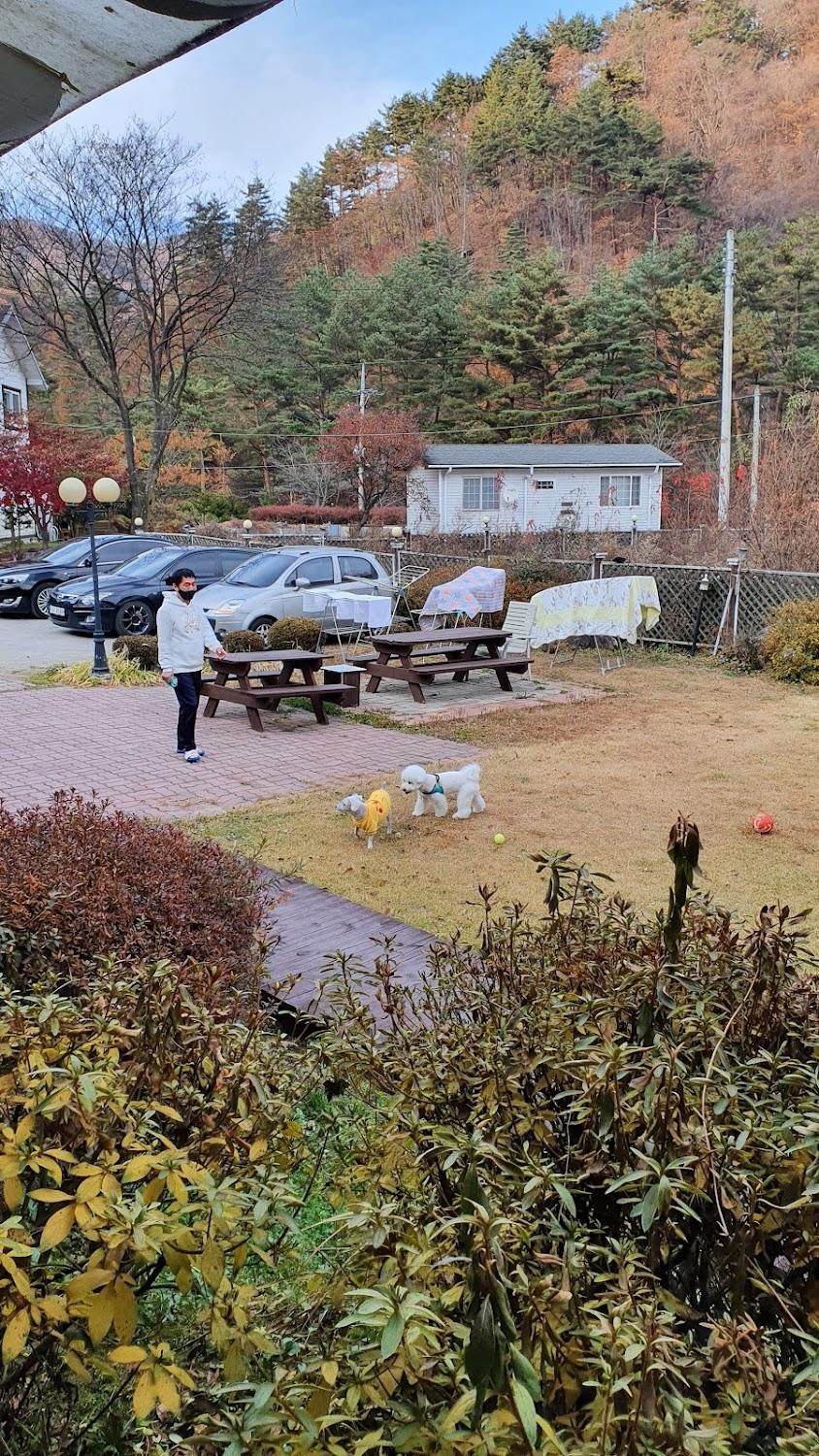 Cover Image for 벤치하우스
