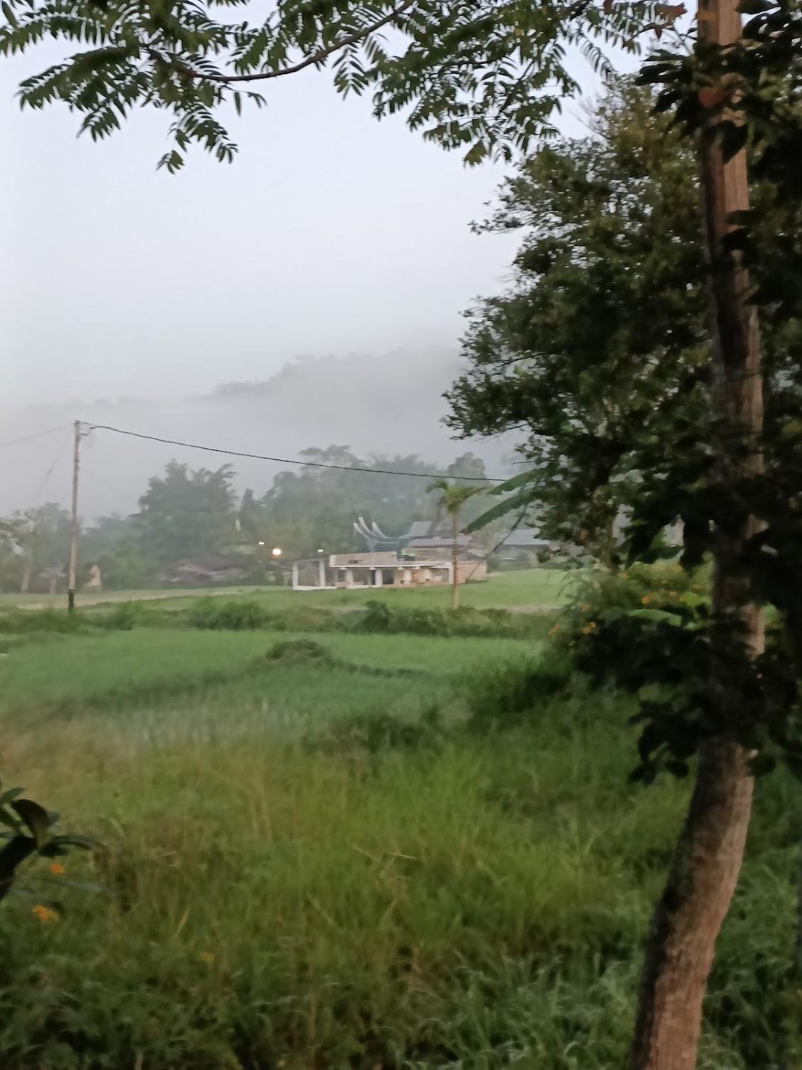 Cover Image for SUMATRA ecoresort