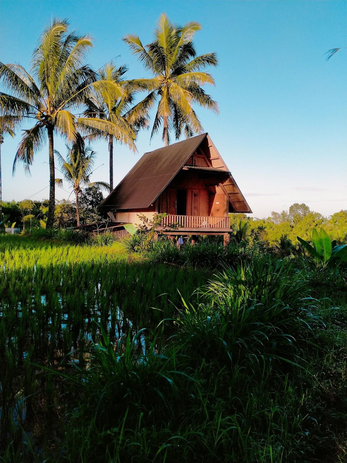 Cover Image for Dewi bungalow tetebatu