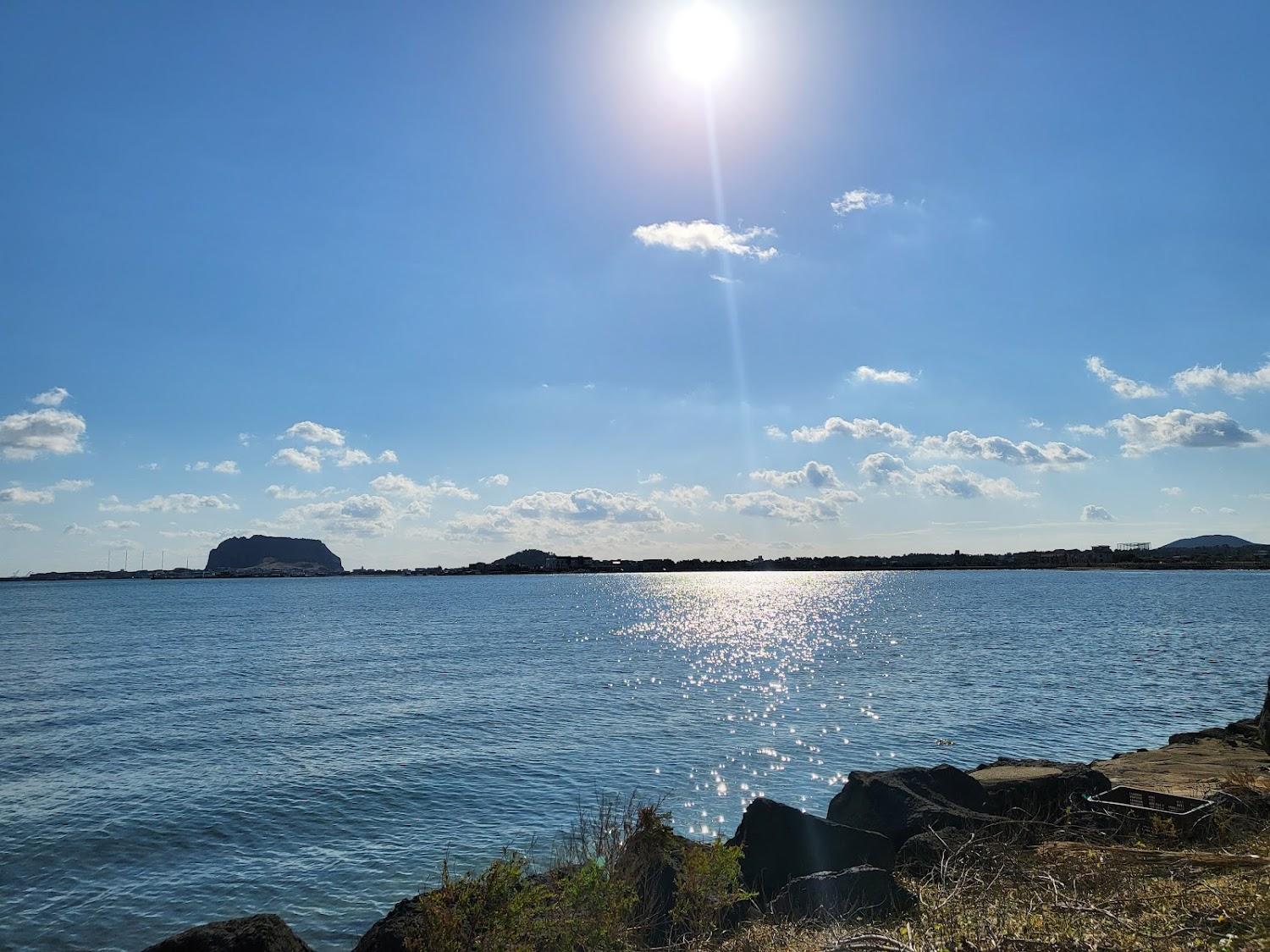 Cover Image for 제주애견동반 솔펜션
