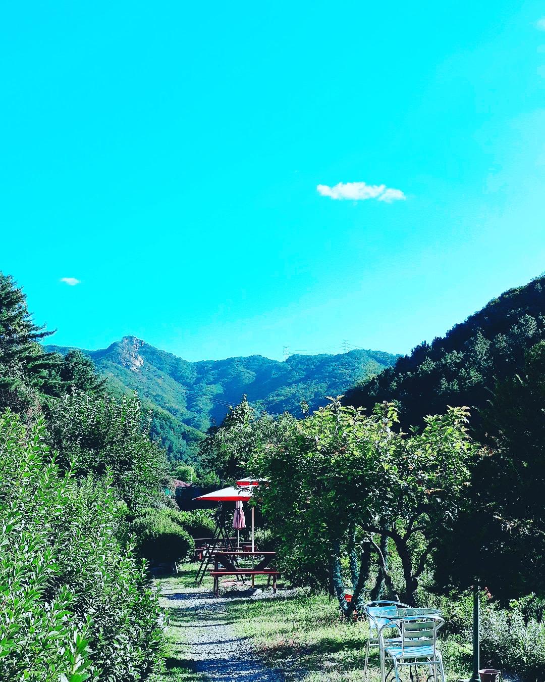 Cover Image for 별빛연가펜션