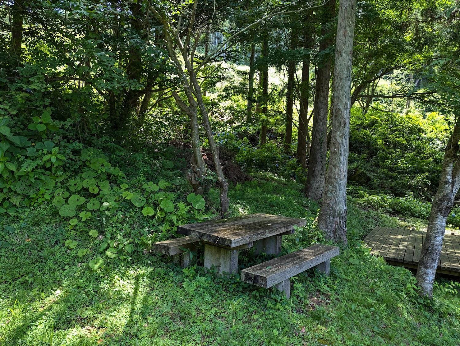 Cover Image for Daimonji Camping Ground