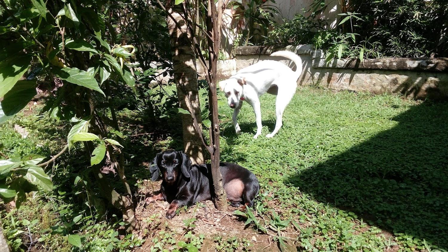 Cover Image for Uma Nandhi Ubud Natural Cottage
