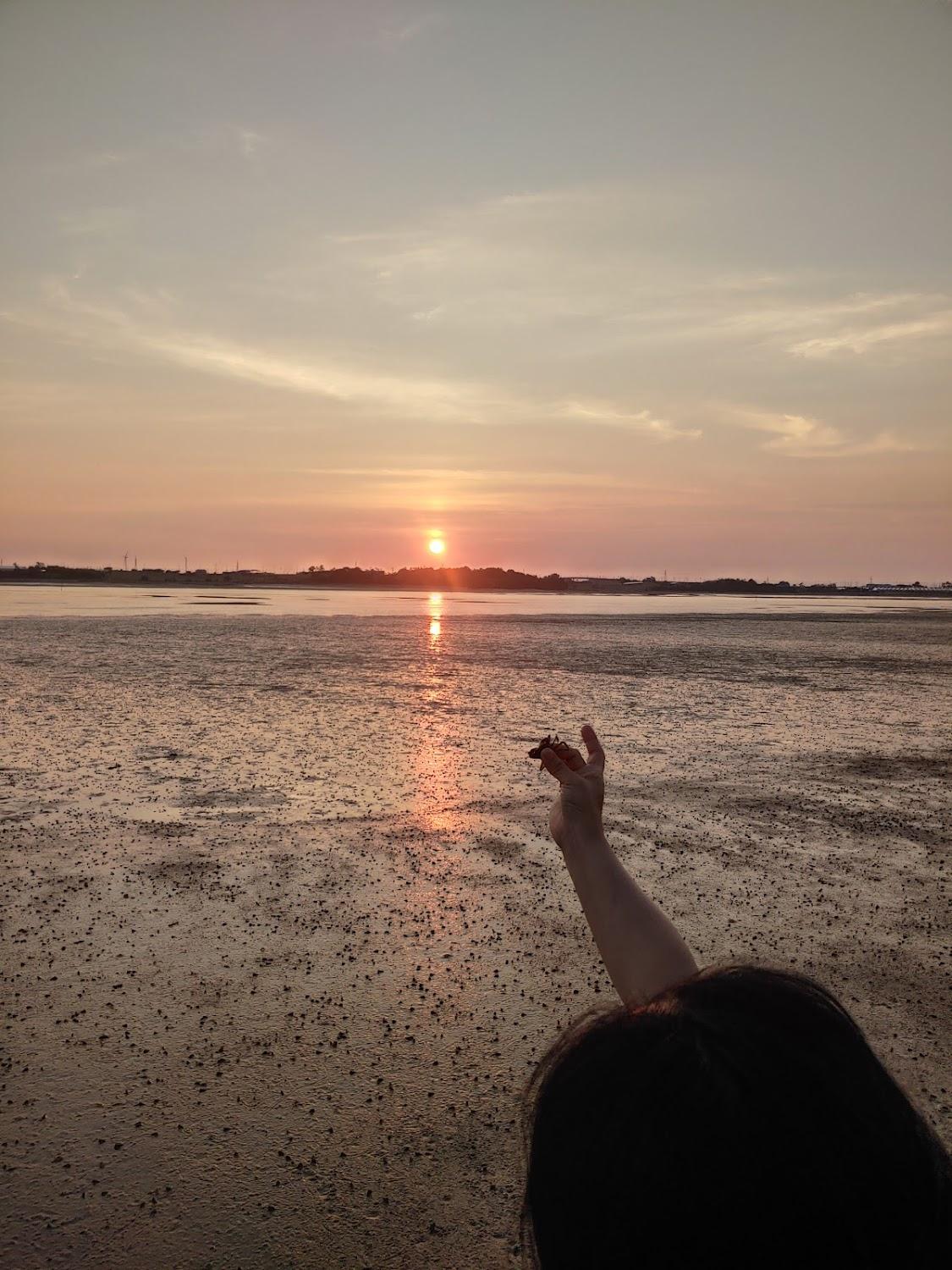 Cover Image for 무안톱관광펜션
