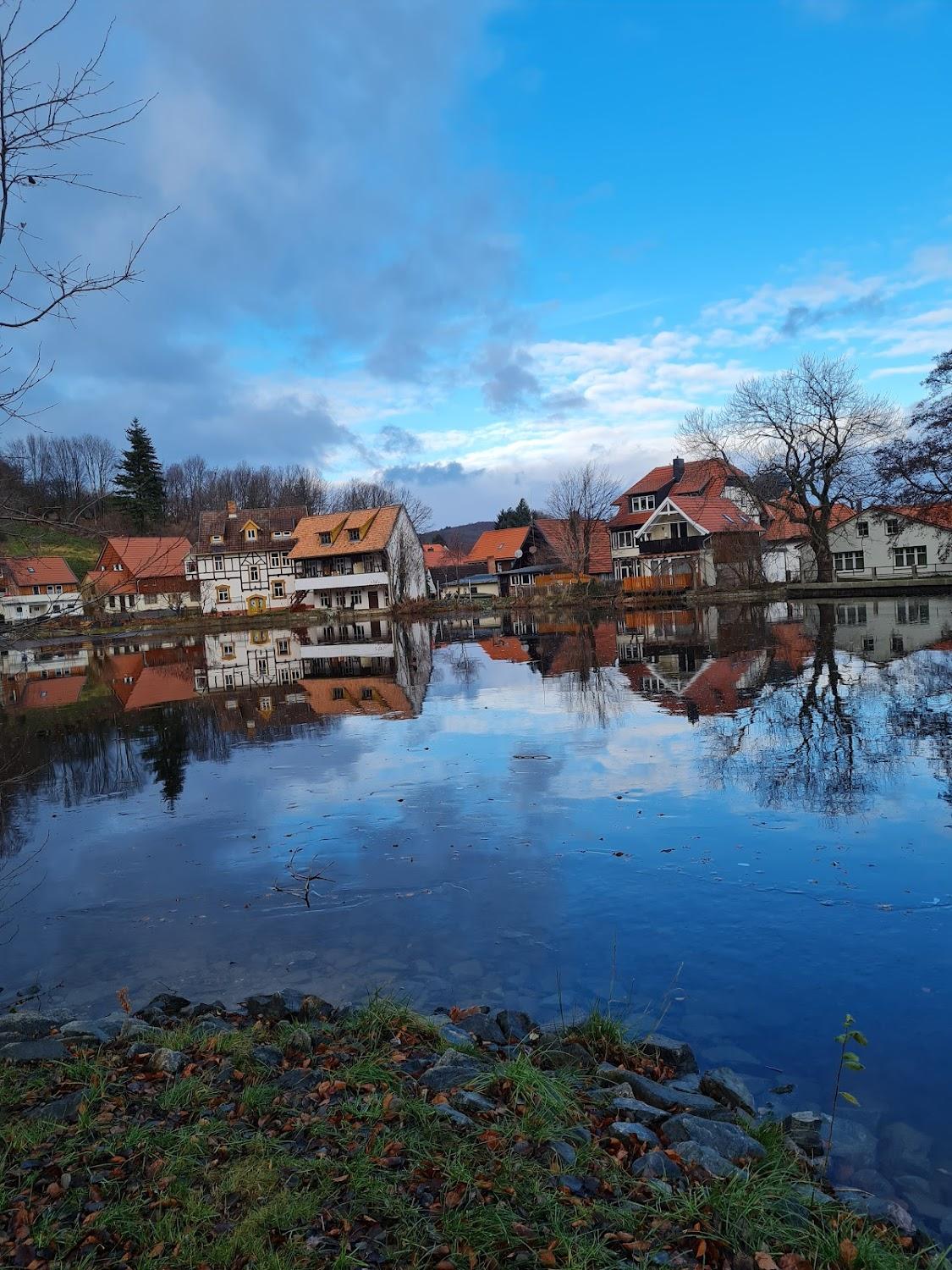Cover Image for Vogelmühle