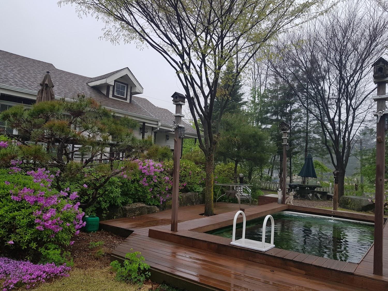 Cover Image for 타임펜션