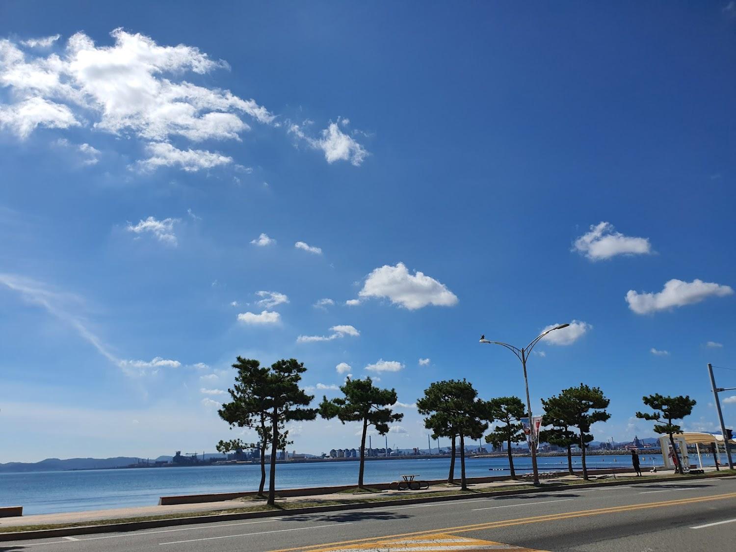 Cover Image for 모텔퍼시픽