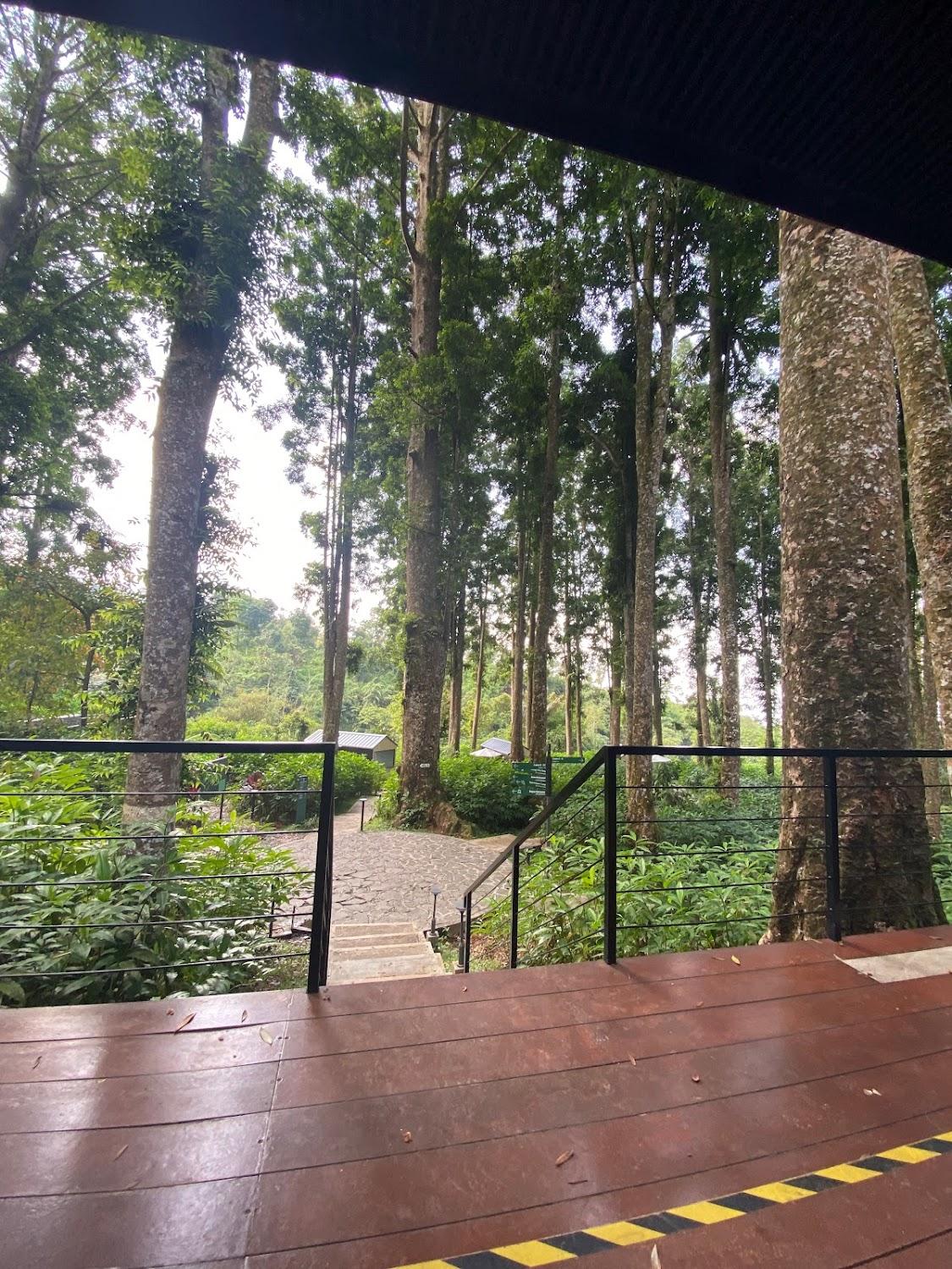 Cover Image for Bobocabin Baturraden, Purwokerto