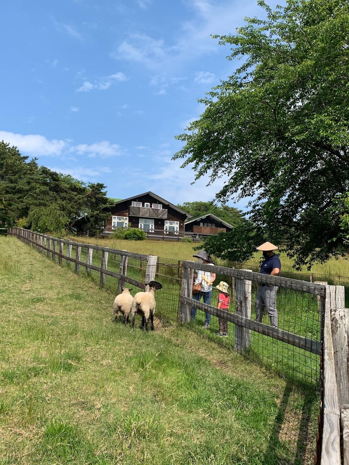Cover Image for Kawayo Green Ranch