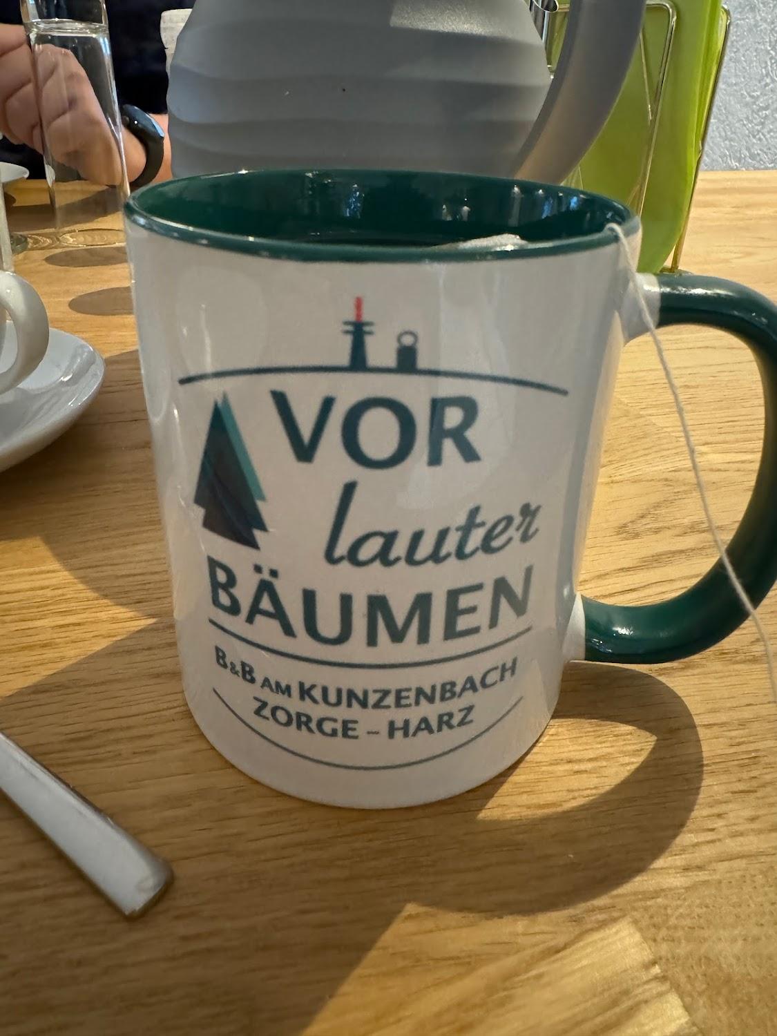 Cover Image for Vor lauter Bäumen B&B