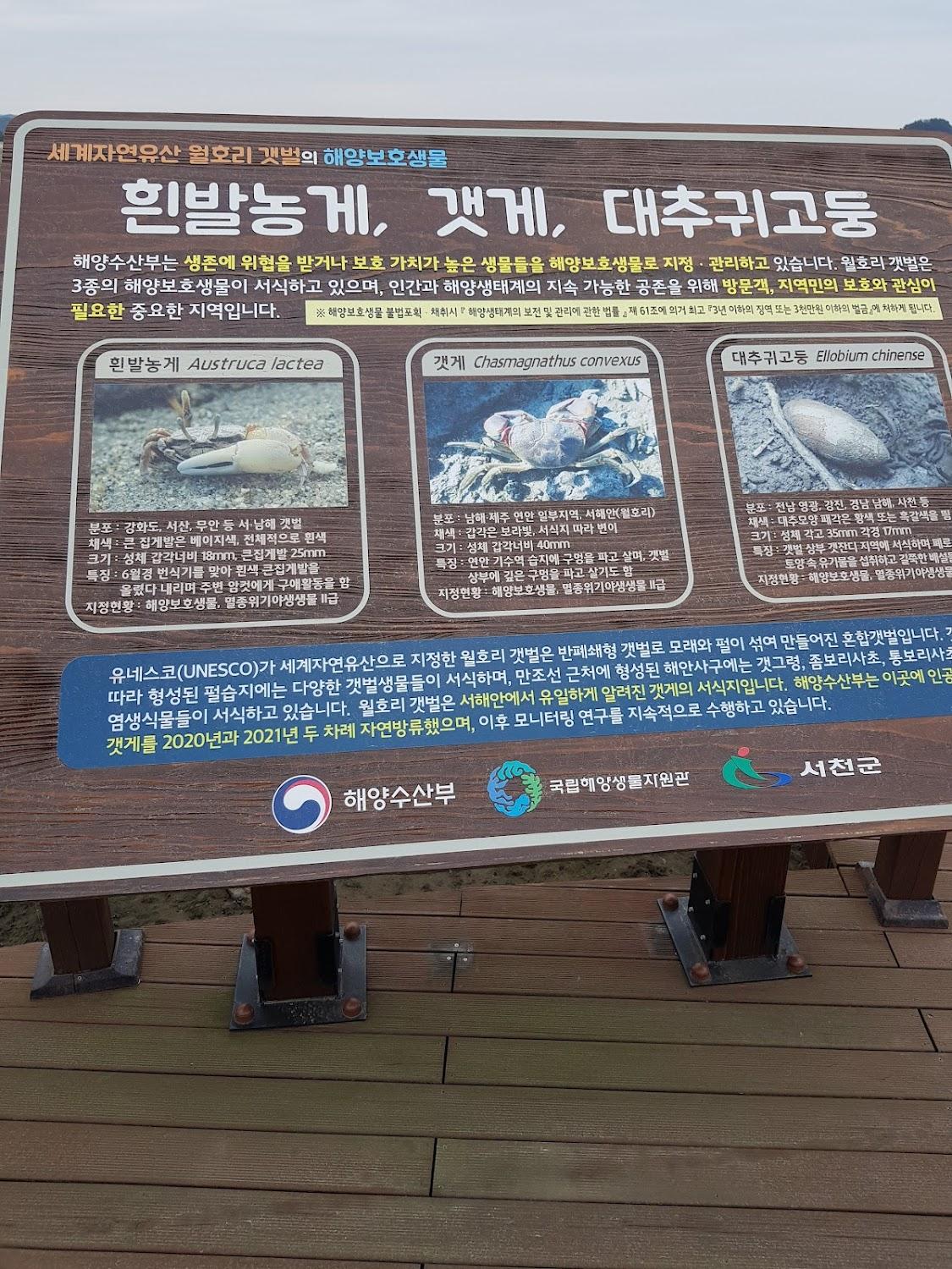 Cover Image for 해뜨는비치하우스