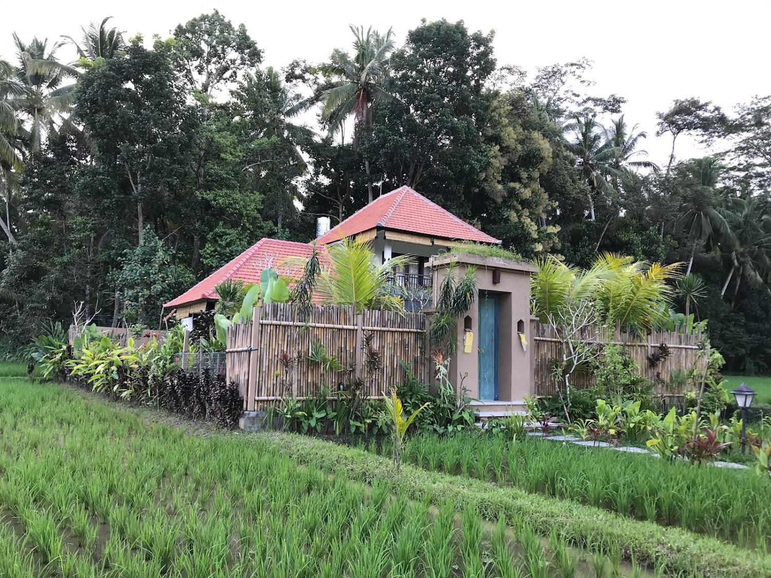 Cover Image for Karen's House Ubud