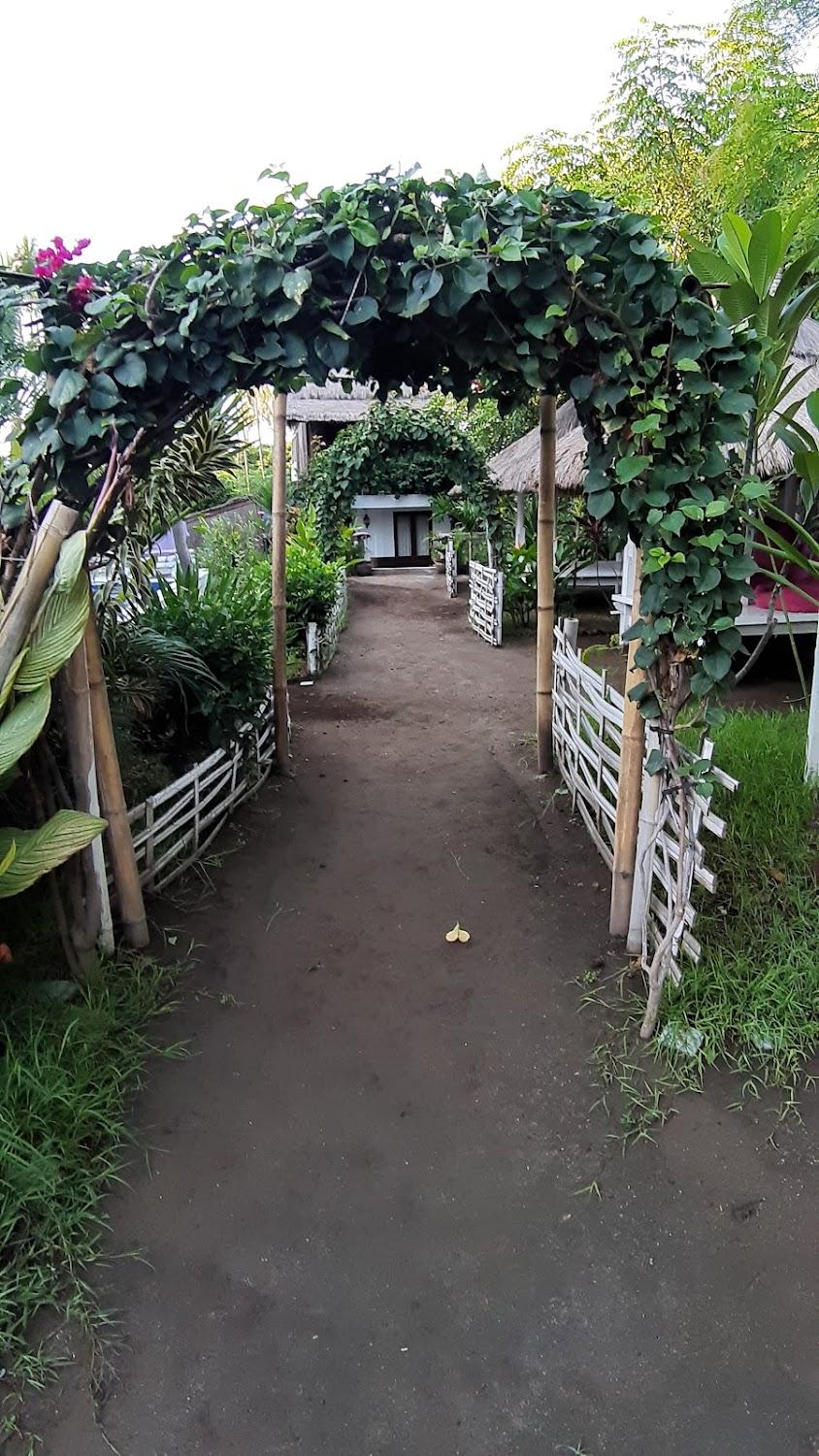 Cover Image for El Jardin de Shambala