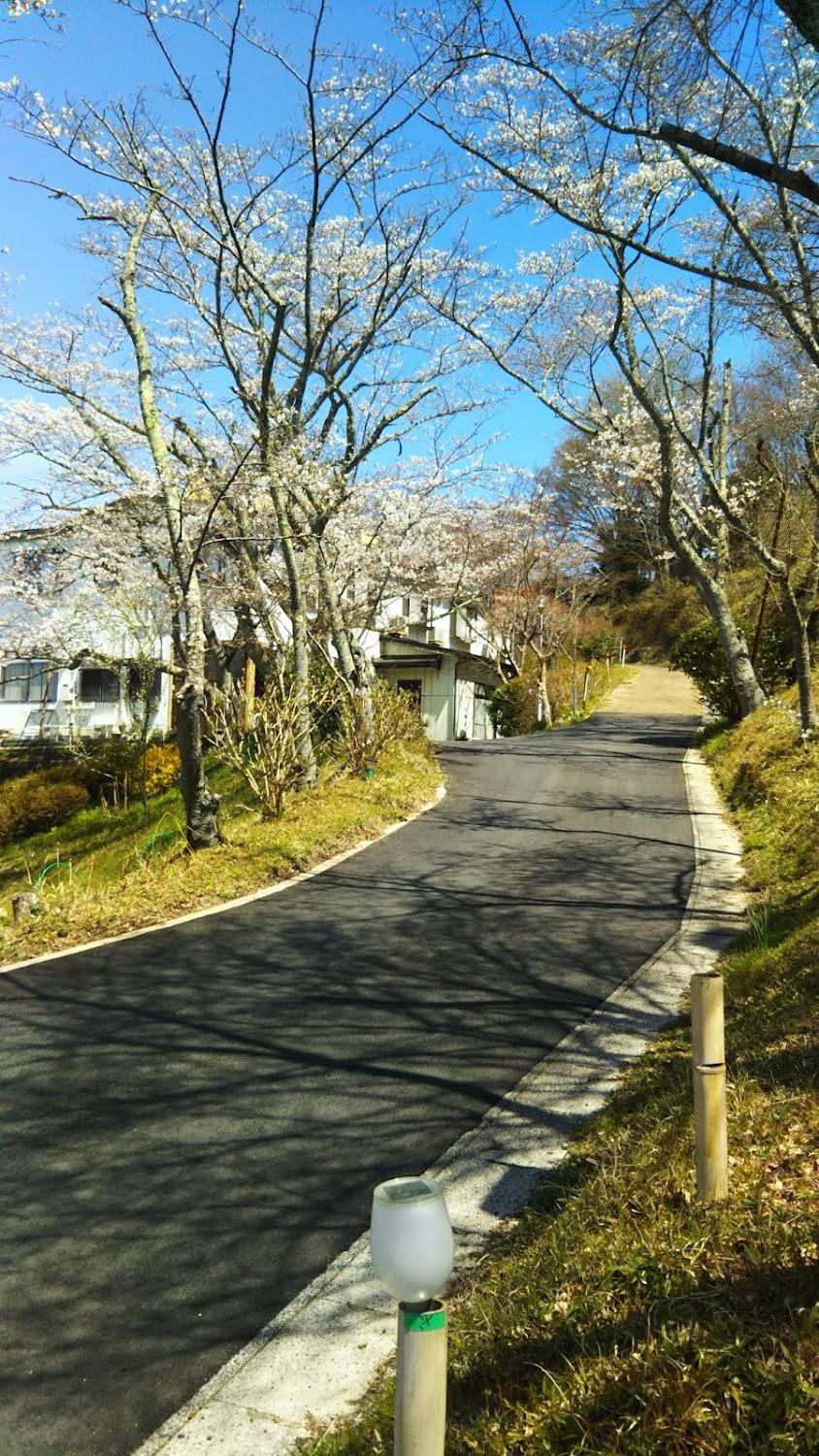 Cover Image for Tenpokaku