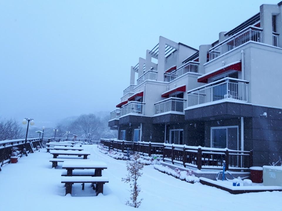 Cover Image for 메이플밸리