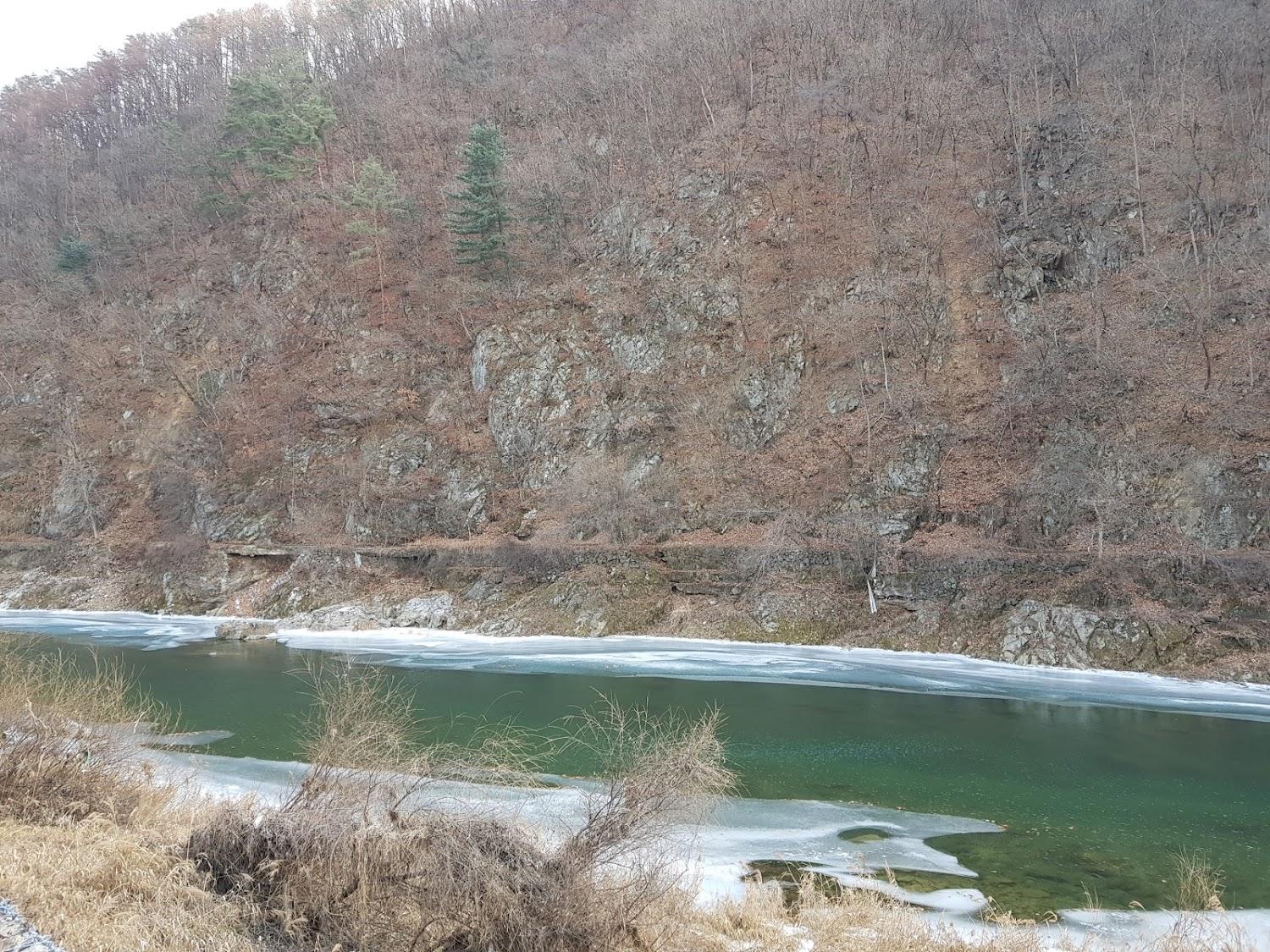 Cover Image for 올리브민박펜션