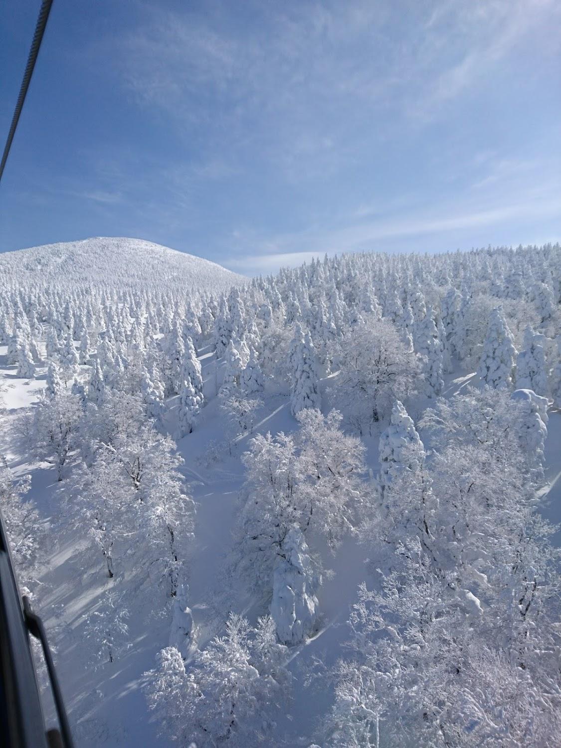 Cover Image for Snow Freak Sunrise