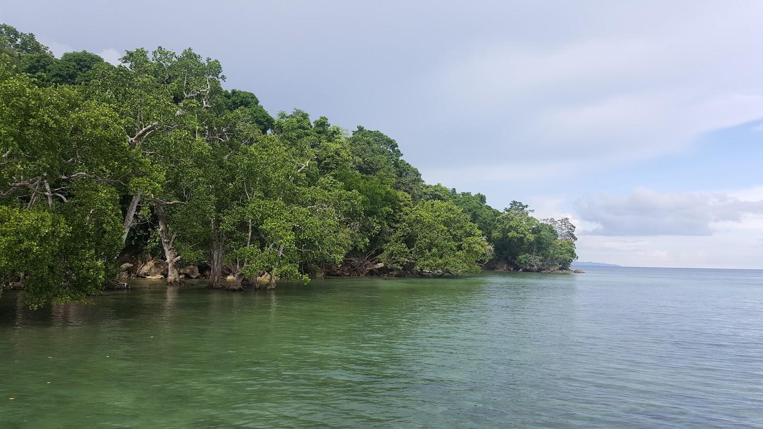 Cover Image for Pandawa Resort Raja Ampat