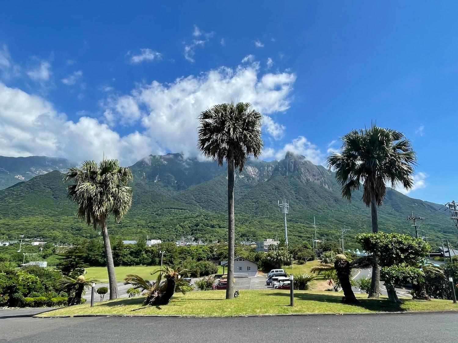 Cover Image for samana hotel Yakushima