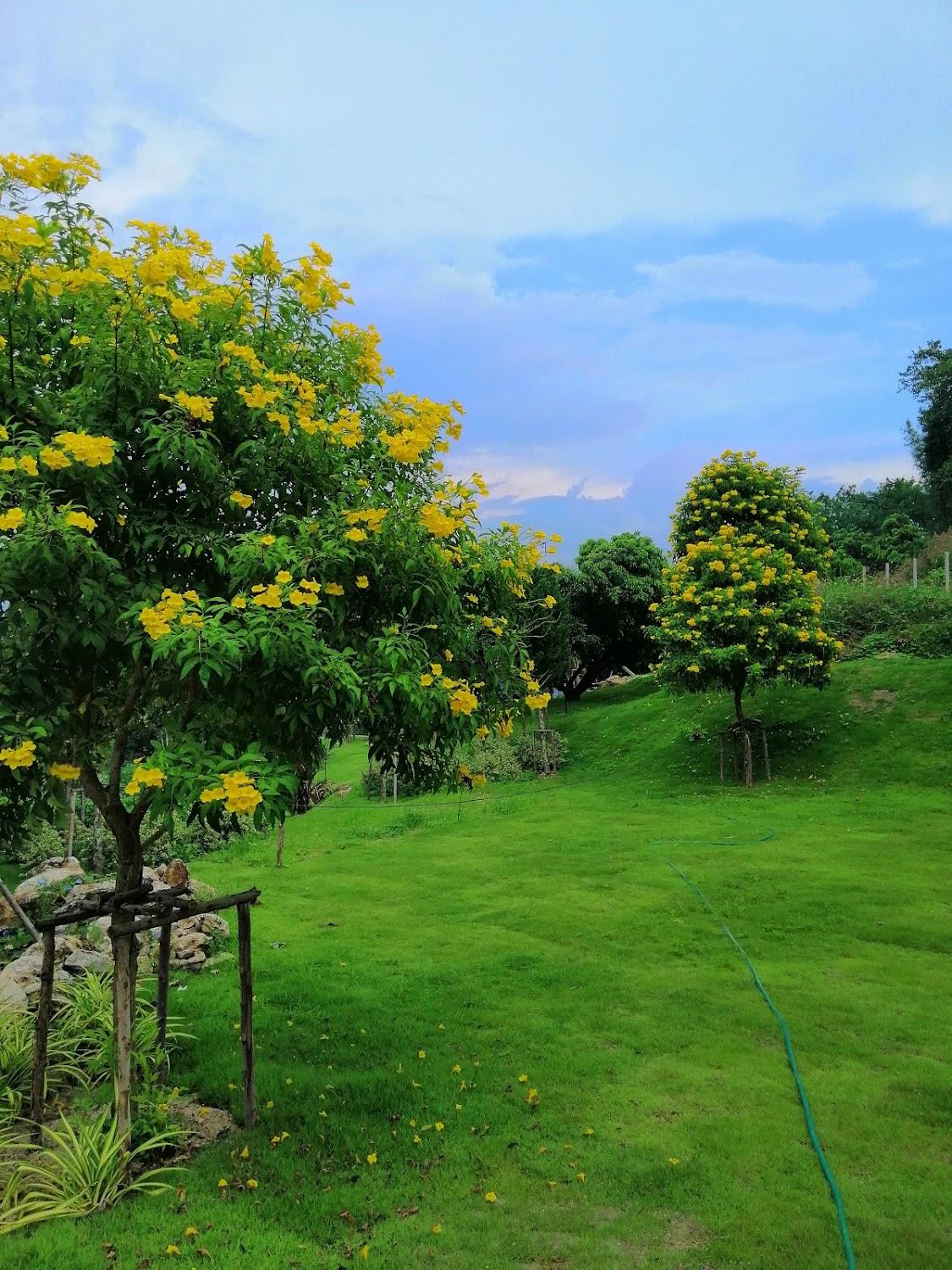 Cover Image for ธารบุรี รีสอร์ท