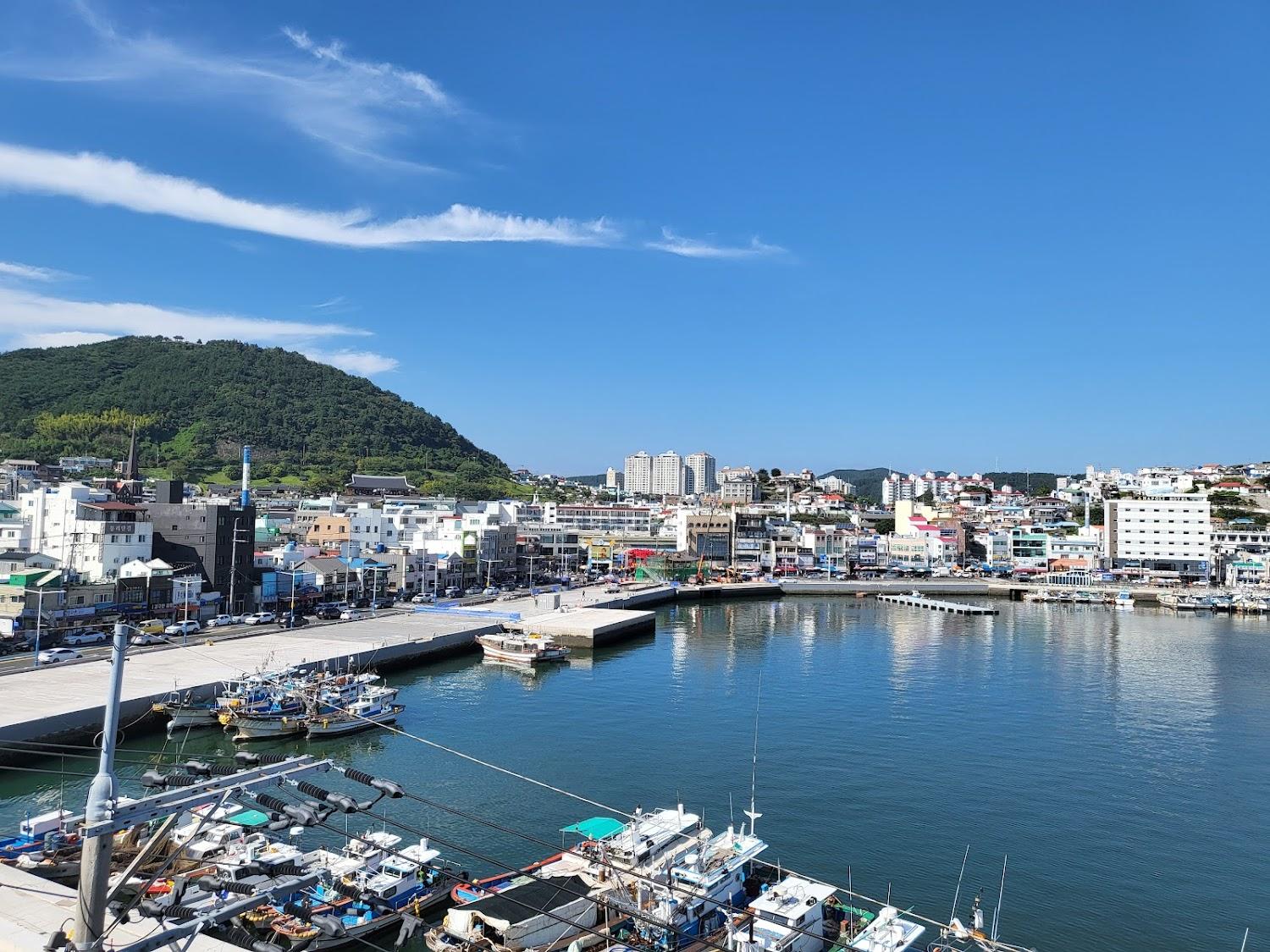 Cover Image for Brown-Dot Tongyeong