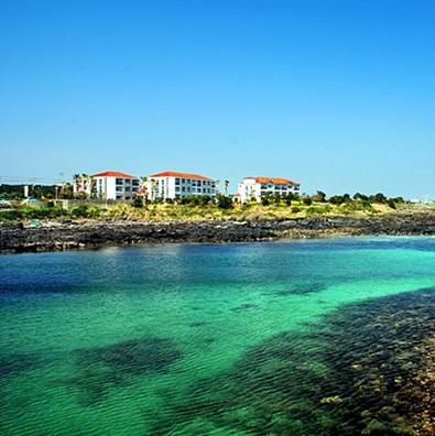 Cover Image for Lasania Resort