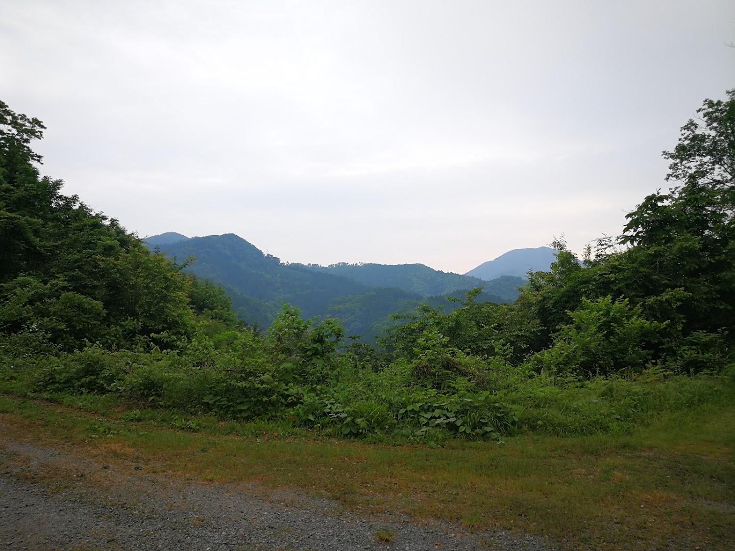 Cover Image for なつつばき
