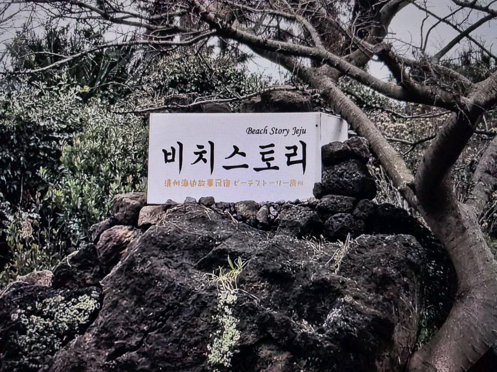 Cover Image for Beach Story villa / 비치스토리제주 / 济州海边故事民宿