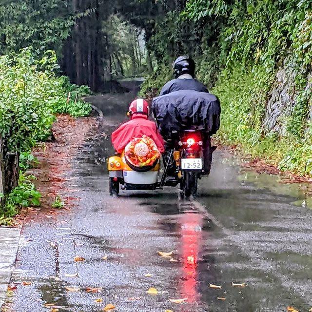 Cover Image for Rider's Inn Shimanto